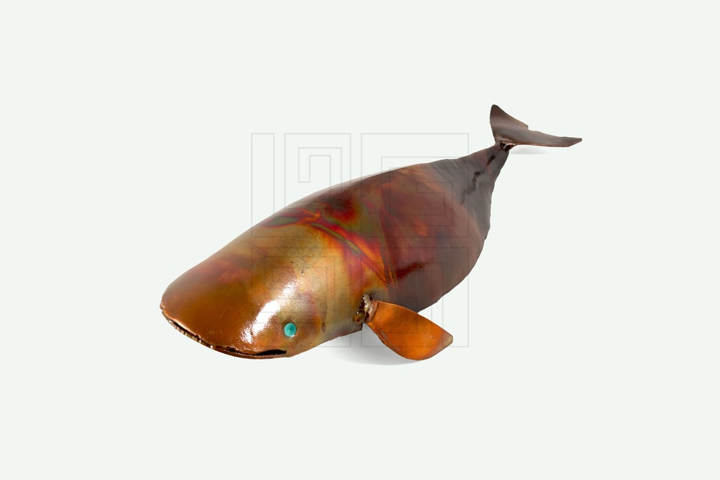 FIGURA BALLENITA