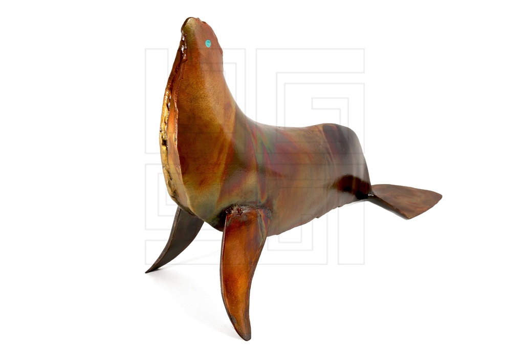 FIGURA FOCA