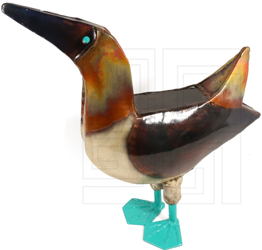 FIGURA PIQUERO PATAS AZULES